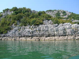 Скадарское озеро. Скадарское озеро.