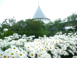 Паломническая поездка Паломническая поездка